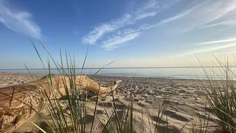 Claybanks Township Park - New Era,