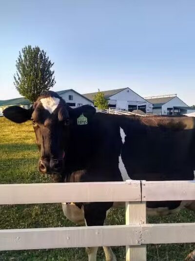 Hart-Montague Bicycle Trail Park - New Era,