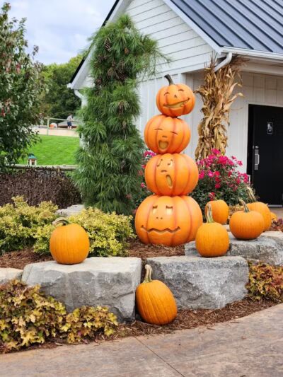 Lewis Adventure Farm & Zoo - New Era,