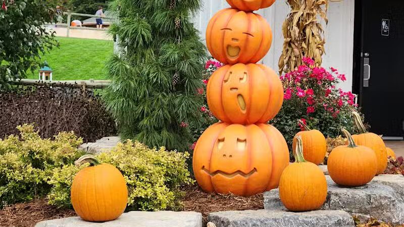 Lewis Adventure Farm & Zoo - New Era,