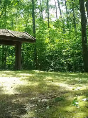 Zeke Lake Roadside Park - New Era,