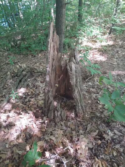 Stony Lake County Park - New Era,