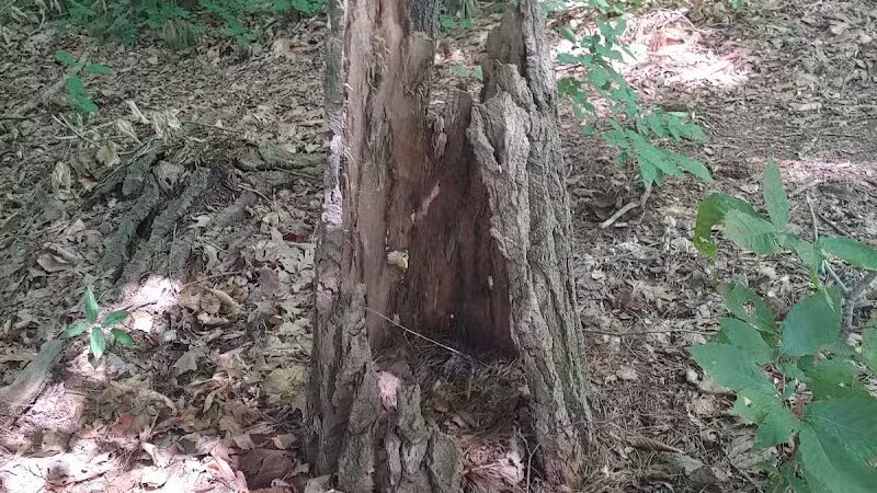 Stony Lake County Park - New Era,