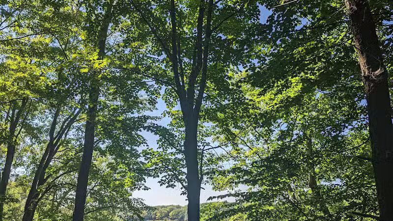 Stony Lake County Park - New Era,