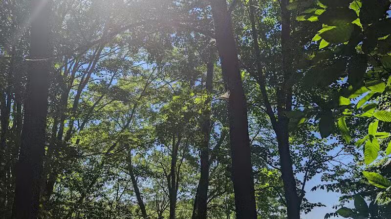 Stony Lake County Park - New Era,