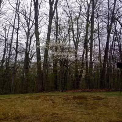 Zeke Lake Roadside Park - New Era,