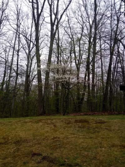 Zeke Lake Roadside Park - New Era,