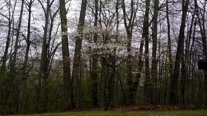 Zeke Lake Roadside Park - New Era,