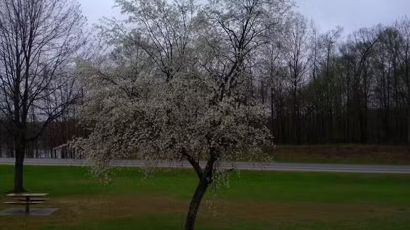 Zeke Lake Roadside Park - New Era,