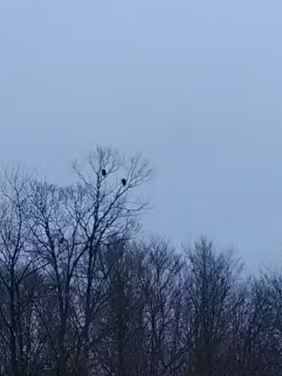 Zeke Lake Roadside Park - New Era,