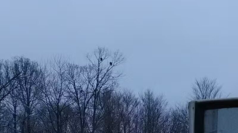 Zeke Lake Roadside Park - New Era,