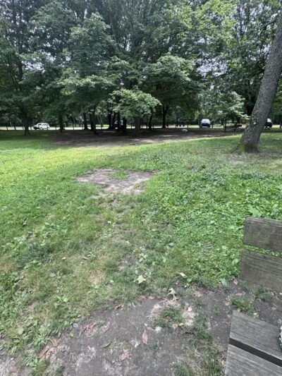 Portage Lakes Dog Park - New Franklin, OH