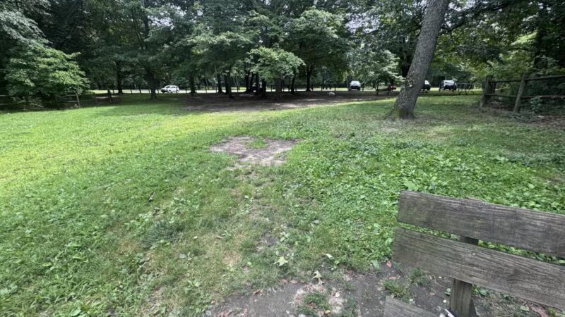 Portage Lakes Dog Park - New Franklin, OH