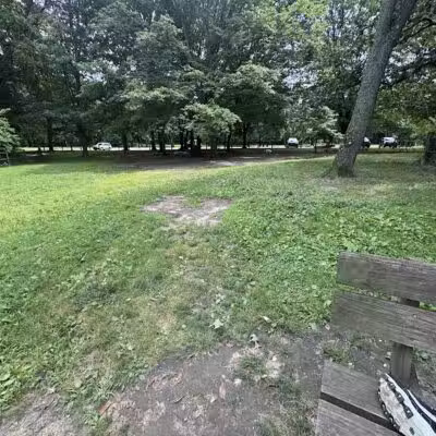 Portage Lakes Dog Park - New Franklin,