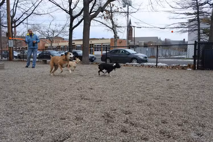 Union Street Dog Park - New Haven, CT