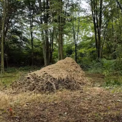 CRC Park - Staro Field - New Haven,