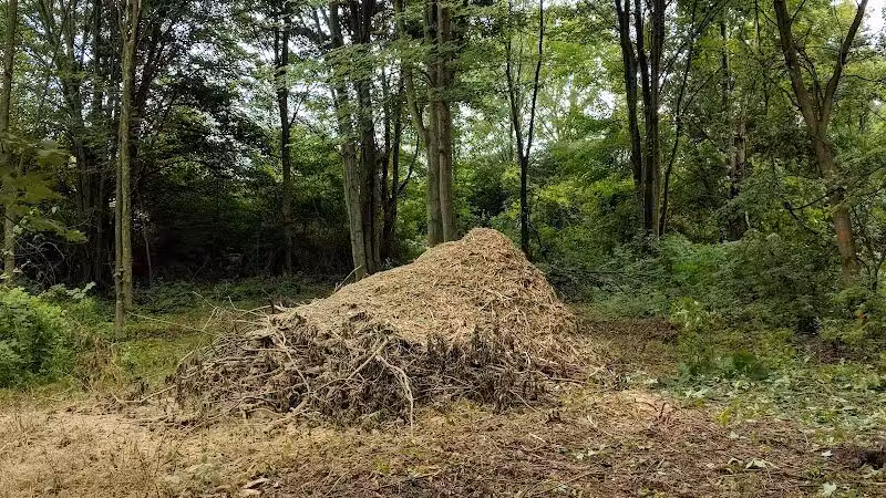 CRC Park - Staro Field - New Haven,