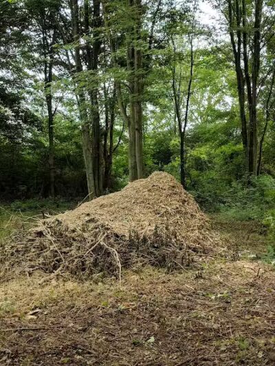 CRC Park - Staro Field - New Haven,