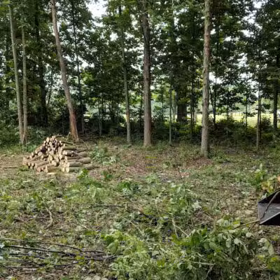 CRC Park - Staro Field - New Haven,