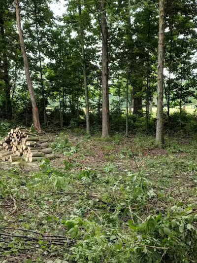 CRC Park - Staro Field - New Haven,