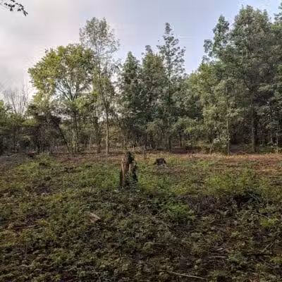 CRC Park - Staro Field - New Haven,