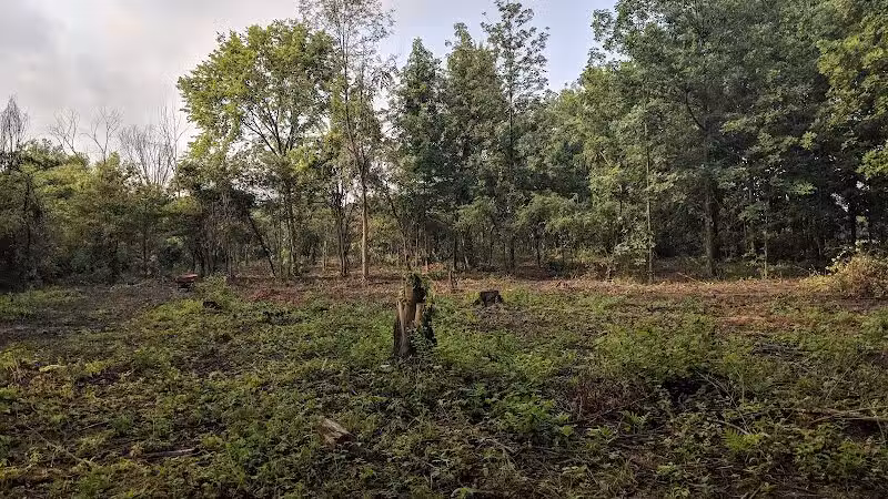 CRC Park - Staro Field - New Haven,