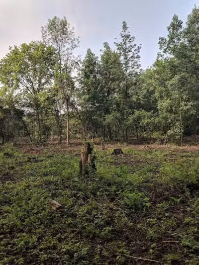 CRC Park - Staro Field - New Haven,