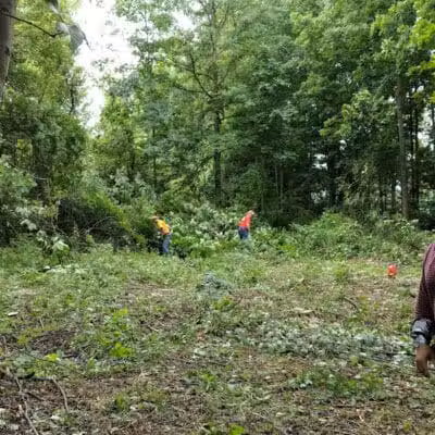 CRC Park - Staro Field - New Haven,