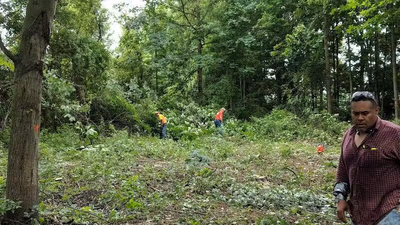 CRC Park - Staro Field - New Haven,