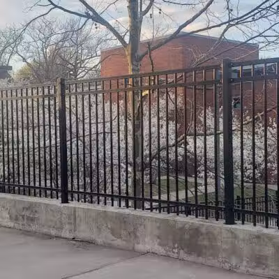 East Rock Dog Park - New Haven,