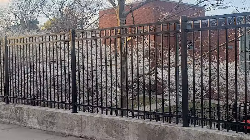 East Rock Dog Park - New Haven,