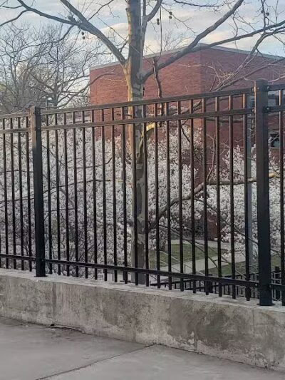 East Rock Dog Park - New Haven,