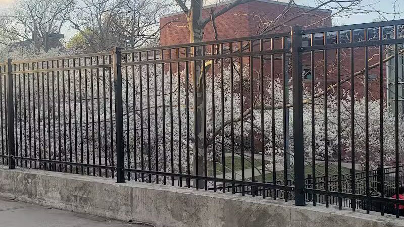 East Rock Dog Park - New Haven,