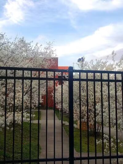 East Rock Dog Park - New Haven,