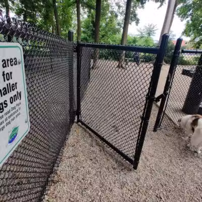 East Rock Dog Park - New Haven,