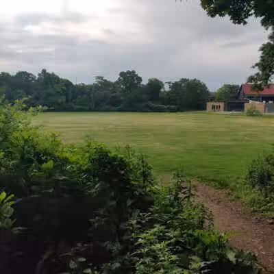 East Rock Dog Park - New Haven,