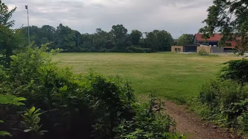 East Rock Dog Park - New Haven,