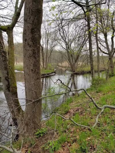 Edgewood Park Dog Park - New Haven,