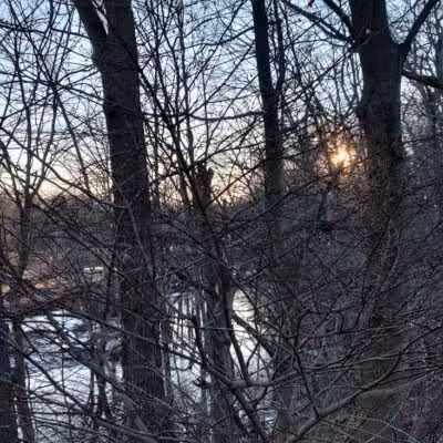 Edgewood Park Dog Park - New Haven,