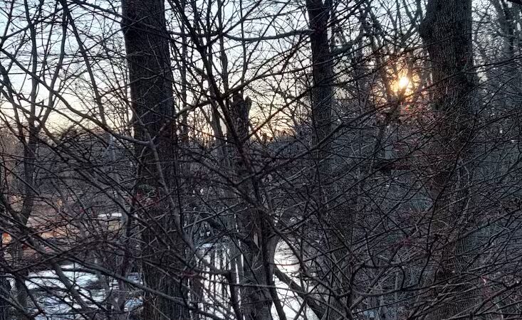 Edgewood Park Dog Park - New Haven,