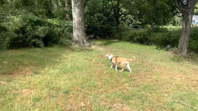 Edgewood Park Dog Park - New Haven,