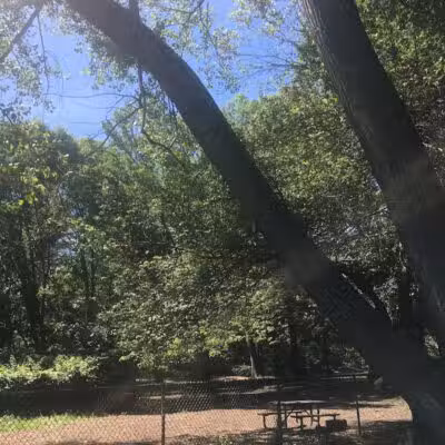 Edgewood Park Dog Park - New Haven,