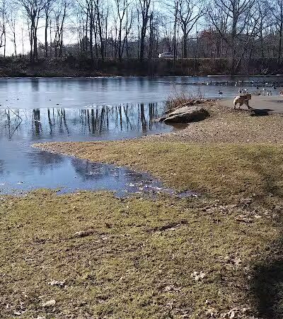Edgewood Park Dog Park - New Haven,