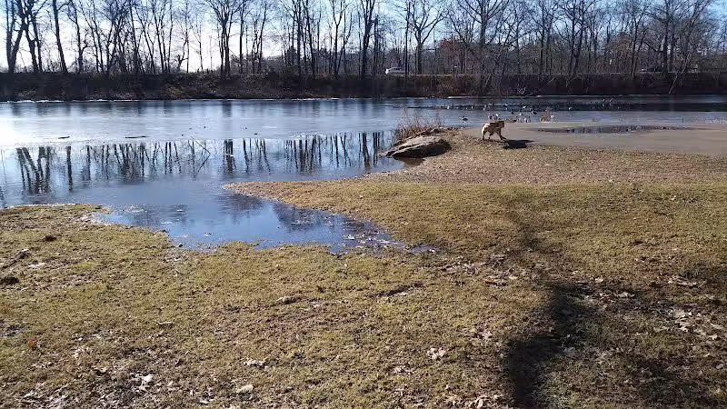 Edgewood Park Dog Park - New Haven,