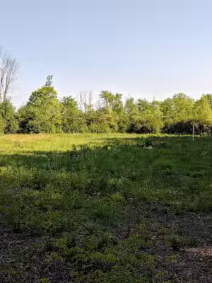 CRC Park - Staro Field - New Haven,