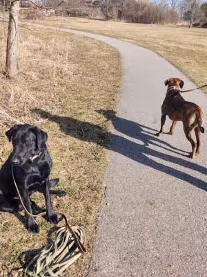 Wetzel State Recreation Area - New Haven,