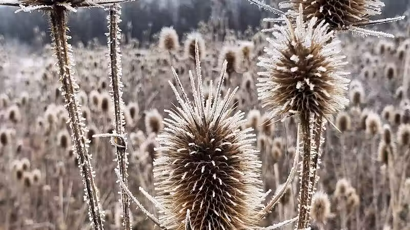 Wetzel State Recreation Area - New Haven,