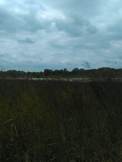 Wetzel State Recreation Area - New Haven,