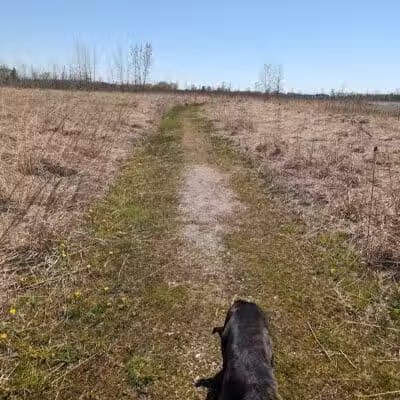 Wetzel State Recreation Area - New Haven,