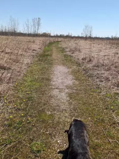 Wetzel State Recreation Area - New Haven,